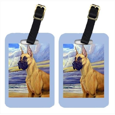 Carolines Treasures Carolines Treasures 7101BT Fawn Great Dane At The Beach Luggage Tags; Pack - 2 7101BT